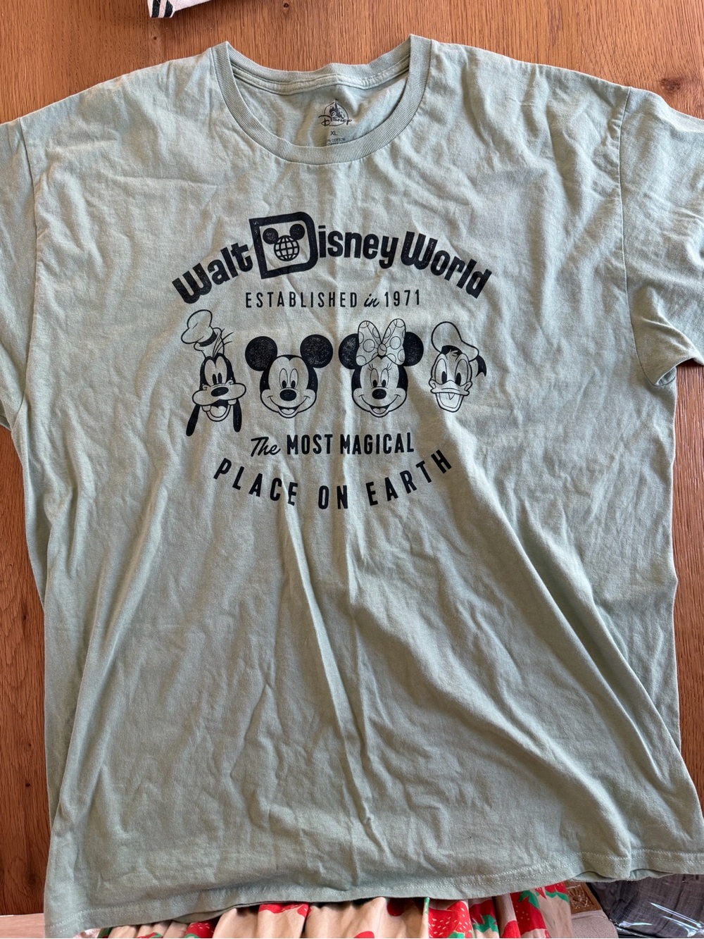 Disney World Graphic Tee - Sage Green
